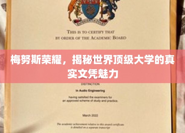 梅努斯荣耀，揭秘世界顶级大学的真实文凭魅力