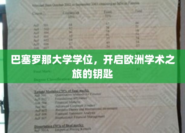 巴塞罗那大学学位，开启欧洲学术之旅的钥匙