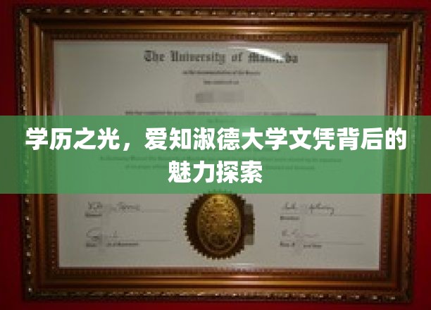 学历之光，爱知淑德大学文凭背后的魅力探索