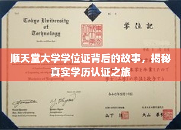 顺天堂大学学位证背后的故事，揭秘真实学历认证之旅