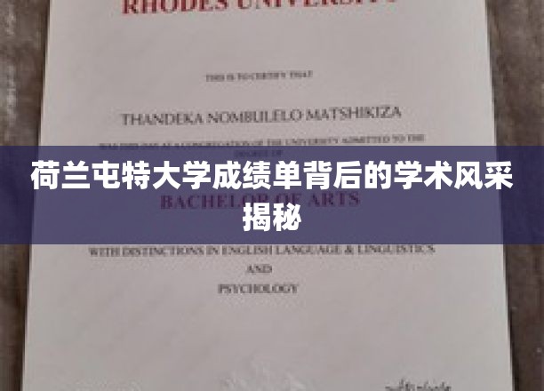 荷兰屯特大学成绩单背后的学术风采揭秘