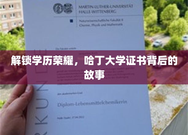 解锁学历荣耀，哈丁大学证书背后的故事