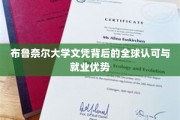 布鲁奈尔大学文凭，国际通行证，开启全球就业新篇章