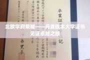 北欧教育巅峰，丹麦技术大学证书映照卓越篇章