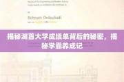探寻湖首大学学霸之路，成绩单背后的成长奥秘