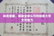 林肯荣耀之光，揭秘国际认可，林肯大学文凭的非凡魅力