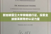 解锁全球精英之路，新加坡国立大学荣耀通行证的力量揭秘