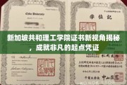 解码未来精英，新加坡共和理工学院证书，开启非凡职业旅程的钥匙