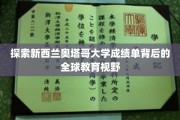 解码奥塔哥大学成绩单，全球教育格局下的独特视角