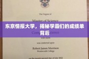 东京情报大学，揭秘学霸们的成绩单背后