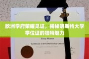 欧洲顶尖学府的荣耀凭证，明斯特大学学位证的独到风采