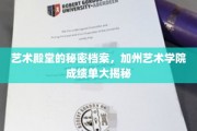 揭开加州艺术学院神秘面纱，独家成绩单背后的艺术传奇