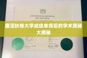 解码康涅狄格大学成绩单，揭开学术成就的秘密面纱