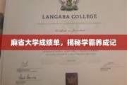 麻省学霸之路，深度解析顶级大学成绩单背后的秘密