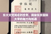 探索东京国际大学，东大文凭背后的无限魅力与广阔机遇