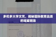 多伦多大学文凭，闪耀全球的教育品质典范